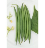 Oakley 5000s (Fotografija 1)