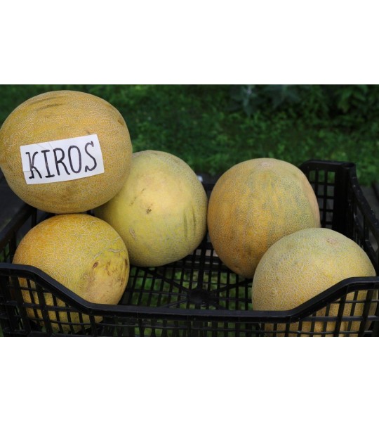 Kiros F1 250s