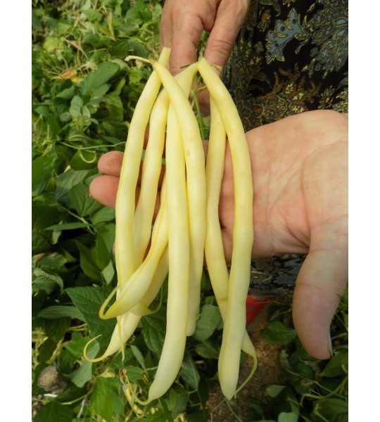 Fruidor 1 kg