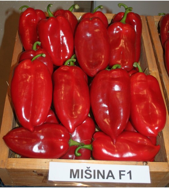 Mišina F1 1000s