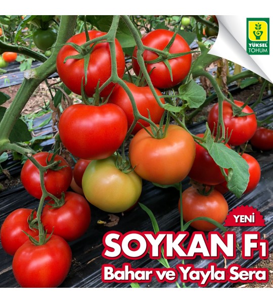 Soykan F1 500s